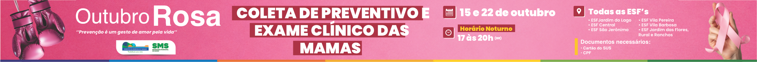 Outubro rosa apt