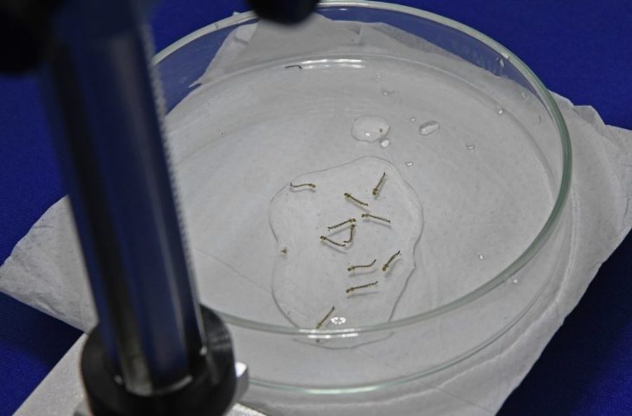 Center 68f9f4c40f981